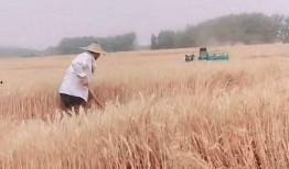 孩子失踪爆料视频真实案例