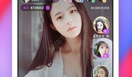 爆料整容直播视频下载网站,揭秘网红变脸背后的秘密