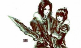 韩羽爆料斩虎视频大全,斩虎视频大全背后的惊心动魄瞬间