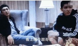 爆料王思聪网红视频在线观看,一场奢华的线上狂欢