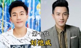 爆料男明星名单大全集最新,揭秘最新爆料男明星名单大全集