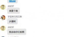 超有梗爆料的视频,笑料横飞，笑出腹肌！