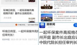 中国律师媒体爆料案例最新,最新案例揭示法律维权之路