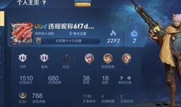 华哥王者爆料最新消息,最新游戏动态揭秘，精彩内容抢先看！