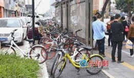 厦门共享单车最新爆料,揭秘最新爆料背后的变革与挑战