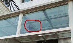 长春二三里爆料新闻,揭秘某事件背后真相，引发社会关注