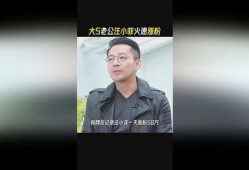 爆料娱乐圈汪小菲视频,娱乐圈幕后真相大揭秘