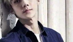 吴世勋韩语爆料视频大全,揭秘偶像背后的真实故事