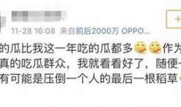 吃瓜群众娱乐爆料,明星们背后的秘密大揭秘！