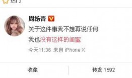 近期的爆料新闻有哪些,聚焦社会焦点事件