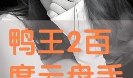 鸭王在线观看完整版bd,在线观影，尽享高清BD完整版