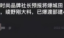 日本娱乐圈爆料塌房视频,揭秘明星不为人知的秘密