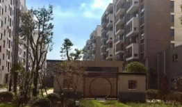 央视爆料偷钱案件最新,惊天偷钱大案，涉案金额惊人，警方全力追查！