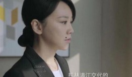 靳东爆料颜妮视频播放,揭秘娱乐圈背后的故事