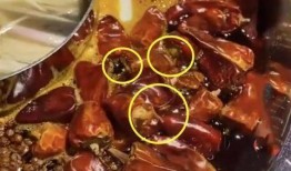 陕西火锅店爆料视频