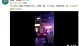 最新高校爆料事件视频播放,揭秘校园内幕事件真相