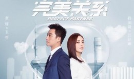 完美关系第八集在线观看,揭秘职场暗流，情感纠葛再升级