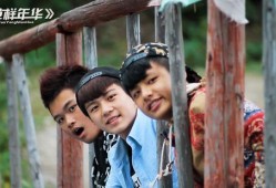 张迪爆料变形记直播视频,真实与虚构的碰撞