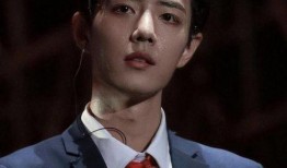 圈内爆料肖战的真相,圈内爆料背后的真实故事