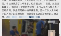 地铁判官被爆料视频大全,揭秘地铁安全与秩序的守护者