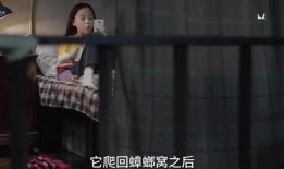 三姐被打爆料视频大全,视频揭露惊人真相