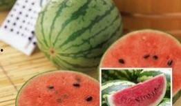 吃瓜网红的双标,一面捧红一面踩低