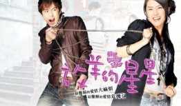 放羊的星星电视剧全集在线观看,浪漫爱情故事，重温经典瞬间