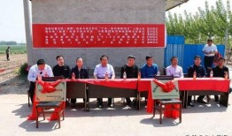 青县爆料最新新闻视频,视频揭露惊人真相，速看！