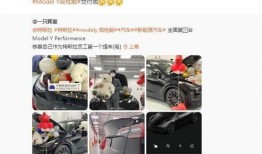 南油拿货爆料视频最新版,揭秘最新版视频中的热门商品与价格