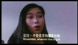 中港丽人在线观看,一场视觉与情感的盛宴