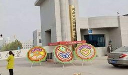 职业学院新瓜最新爆料,独家揭秘校园风云背后的真相