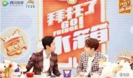 拜托了冰箱第三季在线观看,揭秘明星冰箱里的秘密美食！