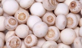 吃瓜黑料爆料蘑菇视频,揭秘娱乐圈吃瓜黑料背后的真相