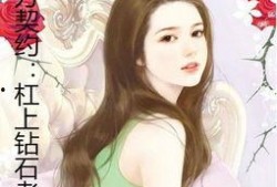 小棠爆料娱乐圈小说推荐,娱乐圈幕后风云，独家小说推荐带你领略星光璀璨