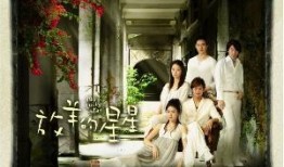 放羊的星星电视剧全集在线观看,浪漫爱情故事，重温经典瞬间