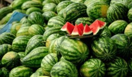 吃瓜网红网红,揭秘网络红人的幕后生活