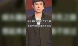 爆料娱乐圈汪小菲视频,娱乐圈幕后真相大揭秘