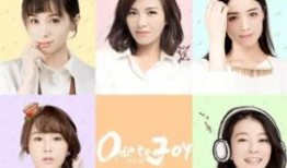 欢乐颂五美采访爆料视频,独家采访爆料大放送