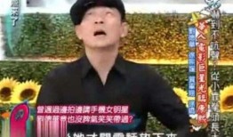 刘德华的姐姐爆料视频是真的吗,刘德华姐姐爆料视频真实性探讨