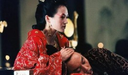 夜宴在线观看,宫廷秘史，权谋与爱情的华丽对决