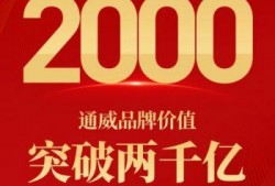 思泉最新上市爆料新闻,科技与创新的完美融合，引领行业新潮流