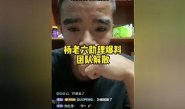 爆料老六视频大全最新网站,热门内容一网打尽