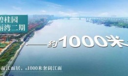 东莞都市爆料最新消息,最新热点事件深度解析