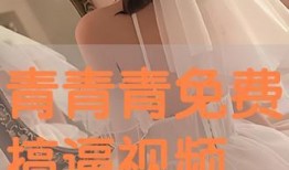 在线青青免费观看免费,在线青青带你领略视听盛宴