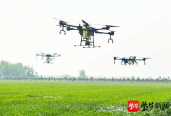 河北无人机爆料视频播放,视频揭秘城市高空视角