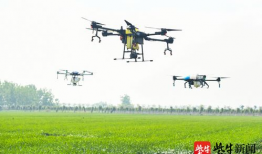 河北无人机爆料视频播放,视频揭秘城市高空视角