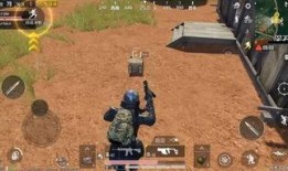 最新爆料和平精英盒子,最新爆料！平精英神秘盒子生成内幕大公开