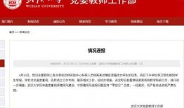 武汉爆料事件最新情况,真相逐步浮出水面