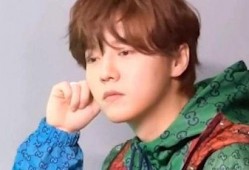 圈内爆料鹿晗近期,揭秘近期神秘事件背后的真相！