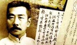 鲁迅最新爆料视频播放在线观看,揭秘历史真相，引发热议